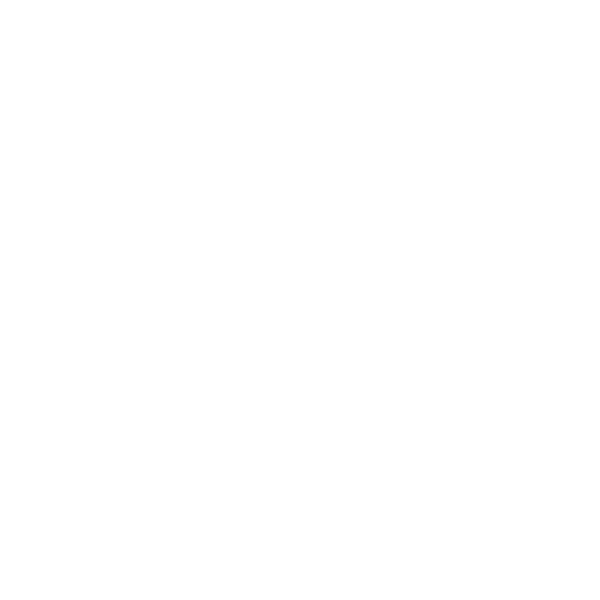 CryptoAltcoin.org Logo